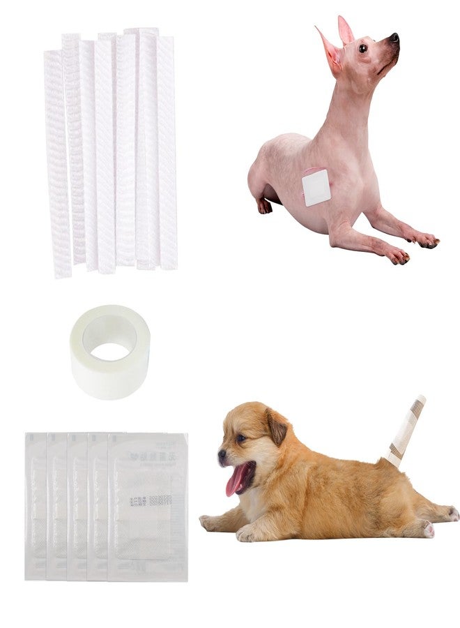 JINGHANGER 16 PCS Dog Tail Protector Dog Ends Starter Pack Including 10 Breathable Mesh Dog Tail Dressing 5 Gauze and 1 Roll Self-Adhesive Pet Bandage Vet Wrap for Dogs Cats Other Pets Animals - Image 1